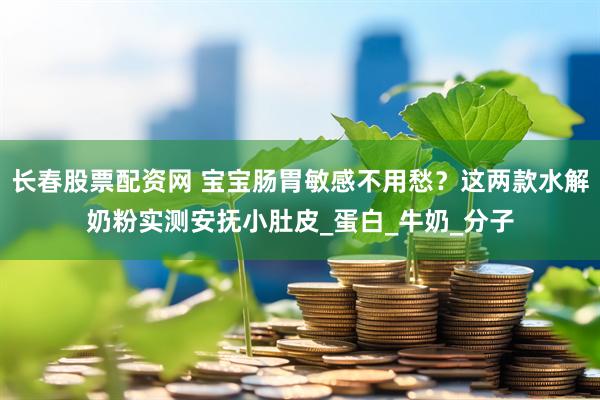 长春股票配资网 宝宝肠胃敏感不用愁？这两款水解奶粉实测安抚小肚皮_蛋白_牛奶_分子